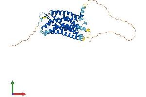 Protein Structure (PS) image for Apelin Receptor (APLNR) (AA 1-377) protein (His tag) (ABIN7556298)