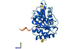 Protein Structure (PS) image for GTP-Binding Protein 8 (GTPBP8) (AA 1-284) protein (His tag) (ABIN7548139)