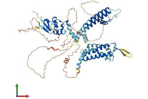 Protein Structure (PS) image for Potassium Voltage-Gated Channel, Shaw-Related Subfamily, Member 2 (KCNC2) (AA 1-638) protein (His tag) (ABIN7554264)