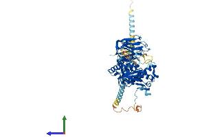 Protein Structure (PS) image for Mannosyl (Alpha-1,3-)-Glycoprotein beta-1,4-N-Acetylglucosaminyltransferase, Isozyme B (MGAT4B) (AA 1-548) protein (His tag) (ABIN7554554)