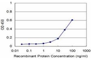 Detection limit for recombinant GST tagged MAP3K5 is approximately 3ng/ml as a capture antibody. (ASK1 抗体  (AA 1231-1374))
