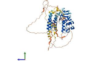 AlphaFold protein structure predicition of Human Recombinant CNKSR3 Protein, UniprotID Q6P9H4