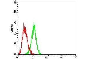 Flow cytometric analysis of HL-60 cells using CD283 mouse mAb (green) and negative control (red). (TLR3 抗体  (AA 24-217))
