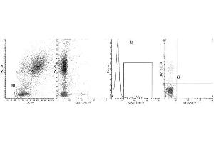Clone B-ly4 (CD21) was analyzed by flow cytometry using a blood sample obtained from a healthy volunteer. (CD21 抗体  (PE))