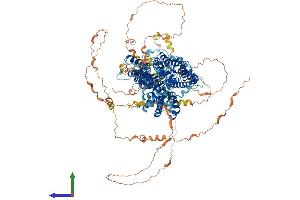 Protein Structure (PS) image for Solute Carrier Family 4, Anion Exchanger, Member 3 (SLC4A3) (AA 1-1232) protein (His tag) (ABIN7552627)