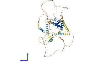 Protein Structure (PS) image for AT Rich Interactive Domain 3A (BRIGHT-Like) (ARID3A) (AA 1-593) protein (His tag) (ABIN7552241)