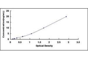 Hyperpolarization Activated Cyclic Nucleotide-Gated Potassium Channel 4 (HCN4) ELISA Kit
