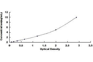 Typical standard curve (TLN1 ELISA 试剂盒)