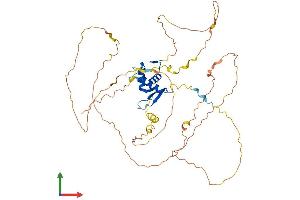 AlphaFold protein structure predicition of Human Recombinant FOXO4 Protein, UniprotID P98177 (FOXO4 Protein (AA 1-505) (His tag))
