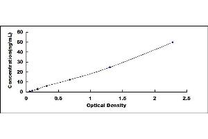 Typical standard curve (Endoglin ELISA 试剂盒)