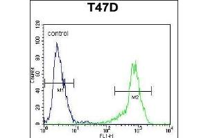 SIAH2 Antibody (Center) (ABIN652059 and ABIN2840527) flow cytometric analysis of T47D cells (right histogram) compared to a negative control cell (left histogram). (SIAH2 抗体  (AA 216-244))