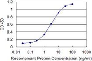 Detection limit for recombinant GST tagged GPR182 is 0. (G Protein-Coupled Receptor 182 抗体  (AA 1-54))