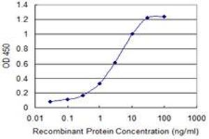 Detection limit for recombinant GST tagged SH3RF1 is 0. (SH3RF1 抗体  (AA 790-888))
