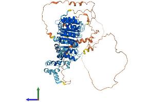 Protein Structure (PS) image for Leucine Rich Repeat Containing 41 (LRRC41) (AA 1-807) protein (His tag) (ABIN7559470)