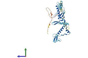 AlphaFold protein structure predicition of Mouse Recombinant Rrs1 Protein, UniprotID Q9CYH6