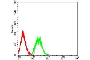 Flow cytometric analysis of HL-60 cells using PTPRD mouse mAb (green) and negative control (red). (PTPRD 抗体  (AA 1077-1265))