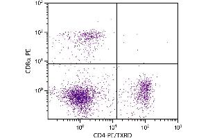 C57BL/6 mouse splenocytes were stained with Rat Anti-Mouse CD4-PE/TXRD and Rat Anti-Mouse CD8α-PE. (CD4 抗体  (PE,Texas Red (TR)))