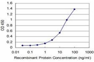 Detection limit for recombinant GST tagged TPMT is approximately 1ng/ml as a capture antibody. (TPMT 抗体  (AA 1-245))