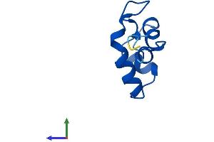 Protein Structure (PS) image for Polymerase (RNA) II (DNA Directed) Polypeptide L, 7.6kDa (POLR2L) (AA 1-67) protein (Fc Tag) (ABIN7551534)