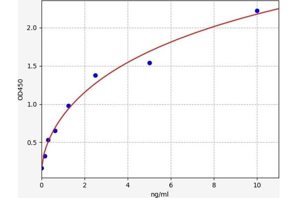 SIRT5 ELISA 试剂盒