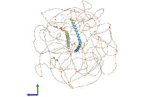 Protein Structure (PS) image for Treacher Collins-Franceschetti Syndrome 1 (TCOF1) (AA 1-1488) protein (His tag) (ABIN7555760)