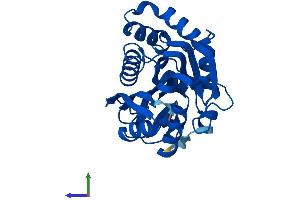 AlphaFold protein structure predicition of Mouse Recombinant Inmt Protein, UniprotID P40936