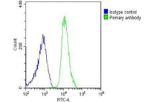Overlay histogram showing U-2OS cells stained with (ABIN6244202 and ABIN6578629) (green line). (SH3PXD2B 抗体  (AA 596-628))