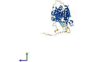 Protein Structure (PS) image for HEN1 Methyltransferase Homolog 1 (HENMT1) (AA 1-395) protein (His tag) (ABIN7559216)