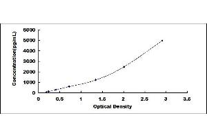 Typical standard curve (Glutaredoxin 1 ELISA 试剂盒)