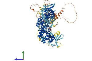 Protein Structure (PS) image for Rap Guanine Nucleotide Exchange Factor (GEF) 5 (RAPGEF5) (AA 1-814) protein (His tag) (ABIN7559086)