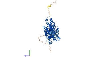 Protein Structure (PS) image for STEAP Family Member 3, Metalloreductase (STEAP3) (AA 1-488) protein (His tag) (ABIN7555652)