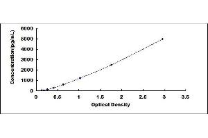 Typical standard curve (LGALS1/Galectin 1 ELISA 试剂盒)