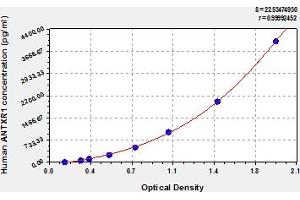 Typical Standard Curve (ANTXR1 ELISA 试剂盒)