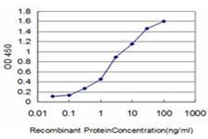 Detection limit for recombinant GST tagged FLT4 is approximately 0. (FLT4 抗体  (AA 34-133))