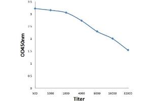 ELISA image for anti-Nuclear Factor of kappa Light Polypeptide Gene Enhancer in B-Cells Inhibitor, alpha (NFKBIA) (pTyr305) antibody (ABIN710696)