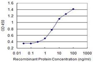 Detection limit for recombinant GST tagged ENPP3 is 0. (ENPP3 抗体  (AA 602-699))