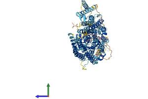 AlphaFold protein structure predicition of Human Recombinant PIGG Protein, UniprotID Q5H8A4