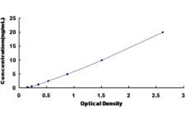 Tryptophan Hydroxylase 1 ELISA 试剂盒
