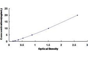 Typical standard curve (Tryptophan Hydroxylase 1 ELISA 试剂盒)