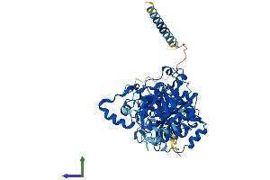 Protein Structure (PS) image for Udp-N-Acetyl-alpha-D-Galactosamine:polypeptide N-Acetylgalactosaminyltransferase 1 (GalNAc-T1) (Galnt1) (AA 1-559) protein (His tag) (ABIN7553970)