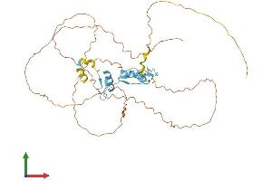 Protein Structure (PS) image for Sp7 Transcription Factor (SP7) (AA 1-431) protein (His tag) (ABIN7546263)