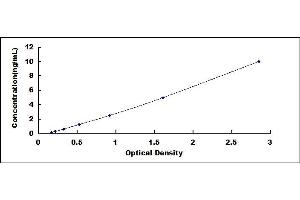 Typical standard curve (HSF2 ELISA 试剂盒)