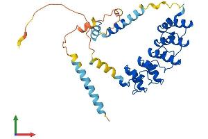 AlphaFold protein structure predicition of Mouse Recombinant Ankrd2 Protein, UniprotID Q9WV06