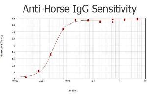 ELISA results of purified Rabbit anti-Horse IgG Antibody Peroxidase Conjugated tested against purified Horse IgG. (兔 anti-马 IgG (Whole Molecule) Antibody (HRP))