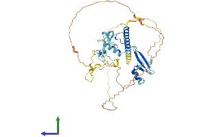 Protein Structure (PS) image for Methyl-CpG Binding Domain Protein 2 (MBD2) (AA 1-414) protein (His tag) (ABIN7556423)