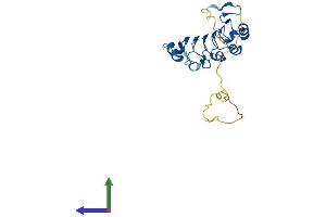 Protein Structure (PS) image for Acidic (Leucine-Rich) Nuclear phosphoprotein 32 Family, Member E (ANP32E) (AA 1-260) protein (His tag) (ABIN7556831)