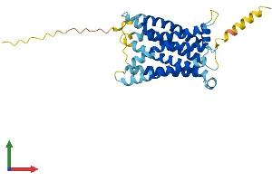 Protein Structure (PS) image for MAS-Related GPR, Member X1 (MRGPRX1) (AA 1-322) protein (His tag) (ABIN7559380)