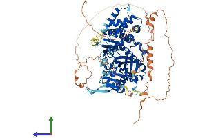 Protein Structure (PS) image for Tubulin Tyrosine Ligase-Like Family, Member 11 (TTLL11) (AA 1-727) protein (His tag) (ABIN7561998)
