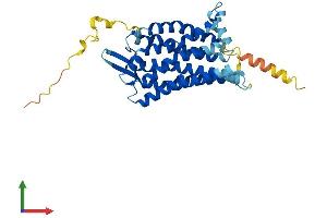 Protein Structure (PS) image for G Protein-Coupled Receptor 77 (GPR77) (AA 1-337) protein (His tag) (ABIN7552786)