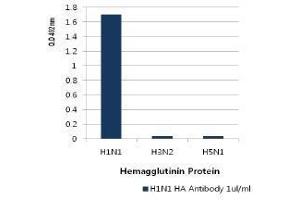 Image no. 1 for anti-Influenza A Virus H1N1 antibody  (AA 18-344) (ABIN1107746) (Influenza A Virus H1N1 抗体  (AA 18-344))